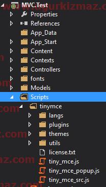 TinyMCE script dosyaları